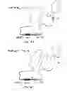 Fig. 37 - Nucleic acids for cloning and expressing multiprotein complexes