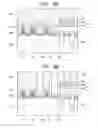 Fig. 06 - SEMICONDUCTOR DEVICE AND METHOD FOR MANUFACTURING THE SAME