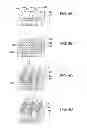 Fig. 05 - DIRECTED BLOCK COPOLYMER SELF-ASSEMBLY PATTERNS FOR ADVANCED PHOTOLITHOGRAPHY APPLICATIONS