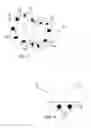 Fig. 04 - Geometric Building Block Assembly