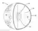 Fig. 01 - THERMOPLASTIC MULTI-LAYER GOLF BALL