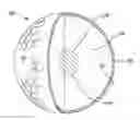 Fig. 01 - THERMOPLASTIC MULTI-LAYER GOLF BALL