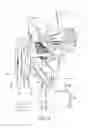 Fig. 08 - BICYCLE CHAIN TENSIONER