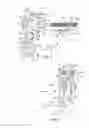 Fig. 06 - Bicycle chain tensioner