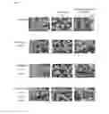 Fig. 06 - PLANTS HAVING INCREASED TOLERANCE TO HERBICIDES