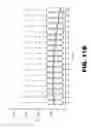 Fig. 20 - METHODS OF LOW ERROR AMPLICON SEQUENCING (LEA-Seq) AND THE USE THEREOF