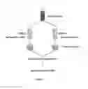 Fig. 02 - System And Method Of Cytomic Vascular Health Profiling