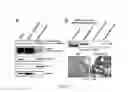Fig. 04 - Methods and compositions for diagnosing and treating cancer