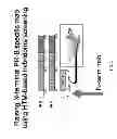 Fig. 02 - METHODS OF SCREENING MONOCLONAL ANTIBODY POPULATIONS