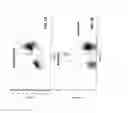 Fig. 02 - Simultaneous Assay of Target and Target-Drug Binding