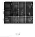 Fig. 82 - FUNCTIONAL GENOMICS USING CRISPR-CAS SYSTEMS, COMPOSITIONS, METHODS, KNOCK OUT LIBRARIES AND APPLICATIONS THEREOF