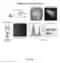 Fig. 86 - FUNCTIONAL GENOMICS USING CRISPR-CAS SYSTEMS, COMPOSITIONS, METHODS, KNOCK OUT LIBRARIES AND APPLICATIONS THEREOF