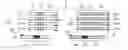 Fig. 01 - Method for producing a nucleic acid library having at least two adjacent variable codon triplets