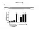 Fig. 05 - Methods for preventing or treating certain disorders by inhibiting binding of IL-4 and/or IL-13 to their respective receptors