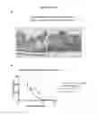 Fig. 09 - Methods for preventing or treating certain disorders by inhibiting binding of IL-4 and/or IL-13 to their respective receptors