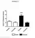 Fig. 10 - Inhibitors of Nox1
