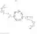 Fig. 04 - CYCLODEXTRIN-BASED POLYMERS FOR THERAPEUTIC DELIVERY