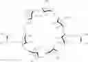Fig. 80 - CYCLODEXTRIN-BASED POLYMERS FOR THERAPEUTIC DELIVERY