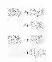 Fig. 04 - Interpenetrating Polymer Network Hydrogel