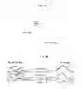 Fig. 18 - Interpenetrating Polymer Network Hydrogel