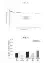 Fig. 20 - Interpenetrating Polymer Network Hydrogel