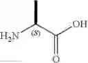 Fig. 02 - Beta-arrestin effectors and compositions and methods of use thereof