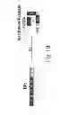 Fig. 03 - METHOD OF PRODUCING FACTOR VIII PROTEINS BY RECOMBINANT METHODS