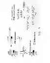 Fig. 19 - METHOD OF PRODUCING FACTOR VIII PROTEINS BY RECOMBINANT METHODS