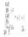 Fig. 24 - METHOD OF PRODUCING FACTOR VIII PROTEINS BY RECOMBINANT METHODS