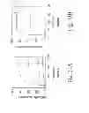 Fig. 26 - METHOD OF PRODUCING FACTOR VIII PROTEINS BY RECOMBINANT METHODS