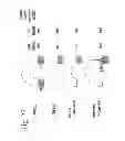 Fig. 29 - METHOD OF PRODUCING FACTOR VIII PROTEINS BY RECOMBINANT METHODS
