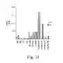 Fig. 33 - METHOD OF PRODUCING FACTOR VIII PROTEINS BY RECOMBINANT METHODS