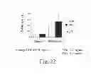 Fig. 34 - METHOD OF PRODUCING FACTOR VIII PROTEINS BY RECOMBINANT METHODS