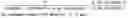 Fig. 02 - CYCLOSPORIN CONJUGATES