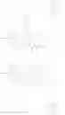 Fig. 40 - CYCLOSPORIN CONJUGATES
