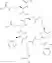 Fig. 124 - Melanocortin receptor-specific heptapeptides