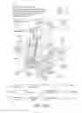 Fig. 14 - METHODS FOR ENHANCEMENT OF MUSCLE PROTEIN SYNTHESIS