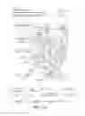 Fig. 17 - METHODS FOR ENHANCEMENT OF MUSCLE PROTEIN SYNTHESIS