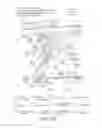 Fig. 19 - METHODS FOR ENHANCEMENT OF MUSCLE PROTEIN SYNTHESIS