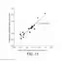 Fig. 20 - METHODS FOR ENHANCEMENT OF MUSCLE PROTEIN SYNTHESIS