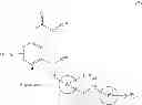 Fig. 05 - Phenylacetic Acid Compound