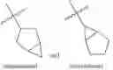 Fig. 11 - Derivatives of Betulin