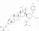 Fig. 178 - Derivatives of Betulin