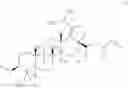 Fig. 48 - Derivatives of Betulin
