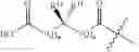 Fig. 59 - Derivatives of Betulin