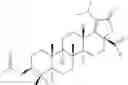 Fig. 760 - Derivatives of Betulin