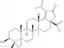 Fig. 761 - Derivatives of Betulin