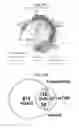Fig. 20 - Gene expression signatures of neoplasm responsiveness to therapy