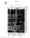 Fig. 62 - Gene expression signatures of neoplasm responsiveness to therapy