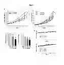 Fig. 03 - METHOD FOR INHIBITING EZH2 EXPRESSION IN BREAST CANCER CELLS